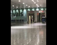 Pomeranian Dog Greets Female Owner at Airport
