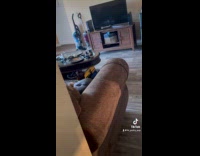 Collab Clips MPUGC - Man sneaks up on pet dog 