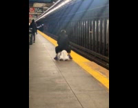 Lady rides mini horse at subway platform