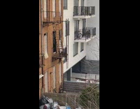 2 raccoons  climb into apartment 