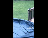 Collab Clips MPUGC2 - Dog retrieves ball but slips and falls in the pool 