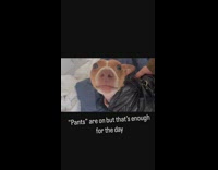 Man and his dog ready for walk 