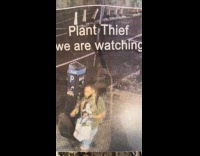 Poster of plant thief on street 
