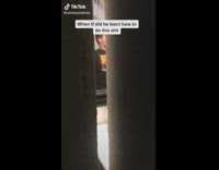 Little boy in restroom sing high pitch 