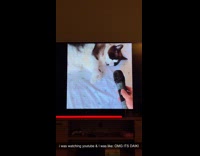 Woman watches video look like her cat