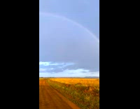 Collab PubityPets - Evening Rainbow and Sunset at Safari Pathway