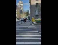 Collab IITW - Woman in Yellow Dress Poses in Middle of Street 