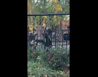 Scream costume parent pushes kid swing playground