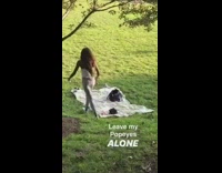 woman chases after a squirrel next to her blanket food and picnic