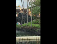 woman giant black rock pictures