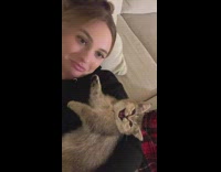 Small kitten purring laying on girl 