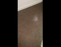 Woman tries to kill spider 