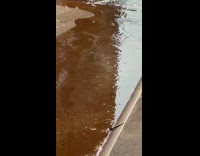 Dirty brown water from hose on street