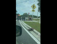 Homeless man crosses street with electric scooter train