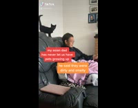 Collab Kale Salad IG - Dad loves to play with black cat