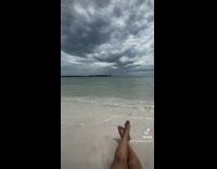 Collab Clips mpugc - Dog in shark outfit walks across woman