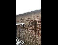 Girl listens to neighbor talking to himself 