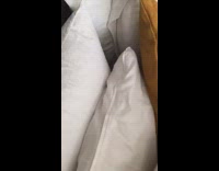 Brown kitten sits hides behind pillows bed