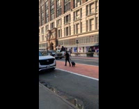 monkey figure on the back of a truck