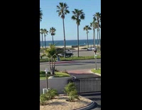 Woman run behind car on street trees 