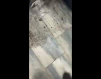Guy pulls stick out of washing machine floods room
