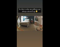 Dog Hops on Bed then Humps Pillows