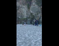 Two little boys beach chalkboard chair parents 