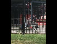 Guy lays back dolly shopping cart street