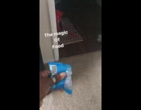 Baby comes running when he hears food packet 