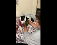 Collab BitchIG2 - Black White Dog Moos as Man Gives it Ear Scratches