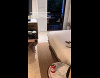 Raccoon inside of room on bed