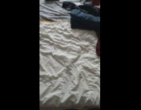 Spider from camping bag crawl on bed