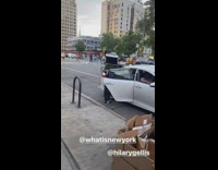 Dog walkers ask why person has TV on their head 