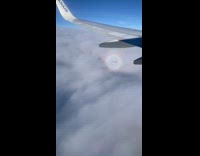 Airplane shadow inside rainbow halo in sky