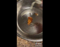 GIrl makes fancy dinner dog bowl