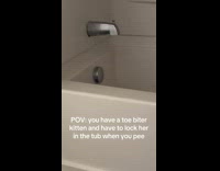 Black kitten cat stuck in bathtub