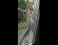 Cat outside meows until girl opens door 