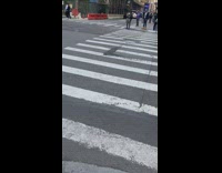 Man wears animal paw slippers with suit 