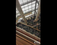 Paper airplane thrown from top floor of library floats down 