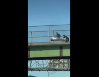 Person lying down on a stretcher being pushed by another guy