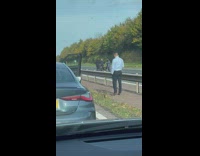 Man black jacket with two dogs road