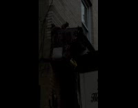 Squirrel enjoys peaceful meal on the roof