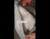 Collab BitchIG2 - White and pink cat paw seat cushion 