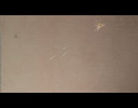 Guy sing spider on web raise legs