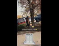 Blue beanie lady prays to tree