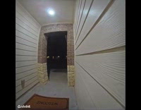 Boy scared of dog runs and scream