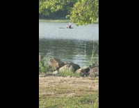 Collab IITW - Guy long sleeves tie paddle board couple