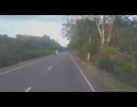 Motorcycle with a back ride almost collides with the Wild Elephant