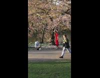 Woman red dress hold tree branch pink flowers