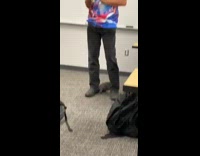 Guy in front of class brings two dogs 